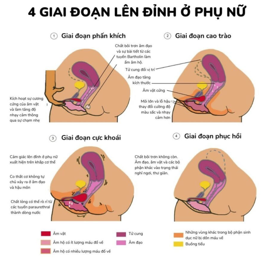 Những nguyên nhân phổ biến khiến cặp đôi không lên đỉnh