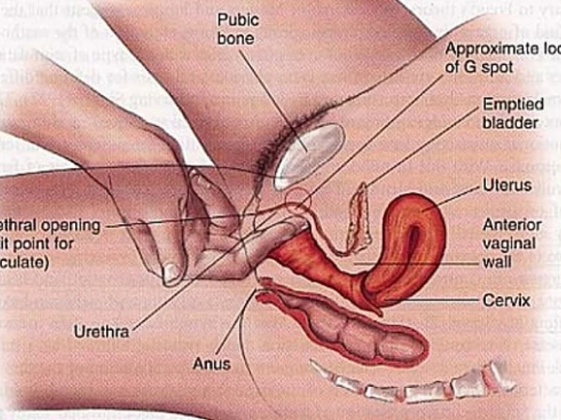 Tổng hợp những cách để nàng lên “Đỉnh” – Từ cảm xúc đến trải nghiệm sâu hơn